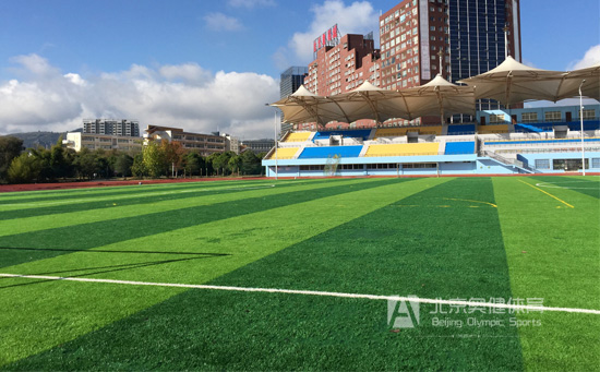 校園足球場草坪建設