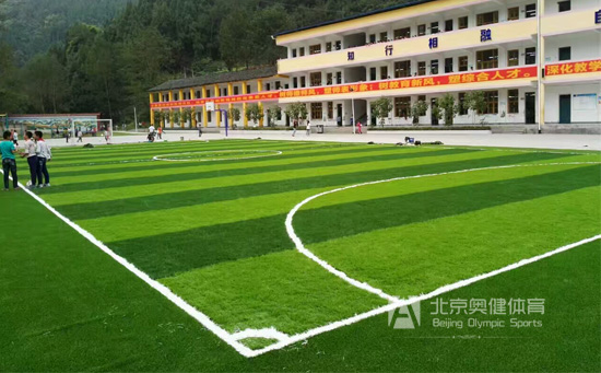 校園人工草坪足球場