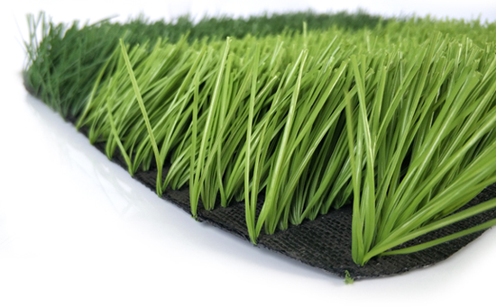 w型足球場草坪圖片