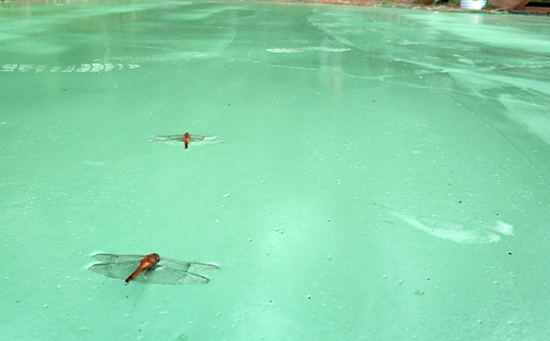 硅pu籃球場(chǎng)粘合能力強(qiáng)