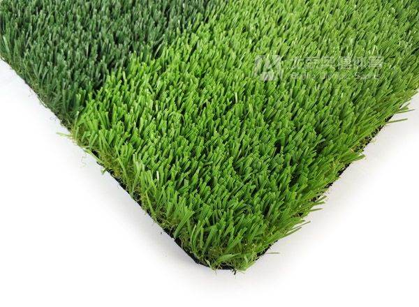 免填充足球場草皮